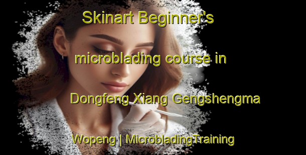 Skinart Beginner's microblading course in Dongfeng Xiang Gengshengma Wopeng | MicrobladingTraining | MicrobladingClasses | SkinartTraining-China